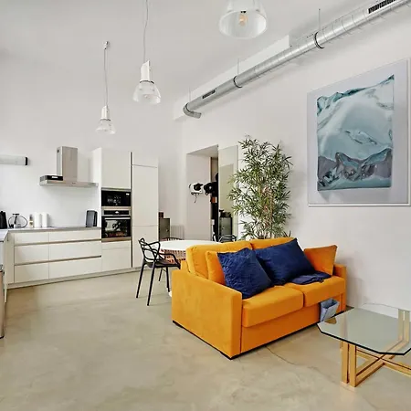 Duplex Loft Montmartre -18th דירה *